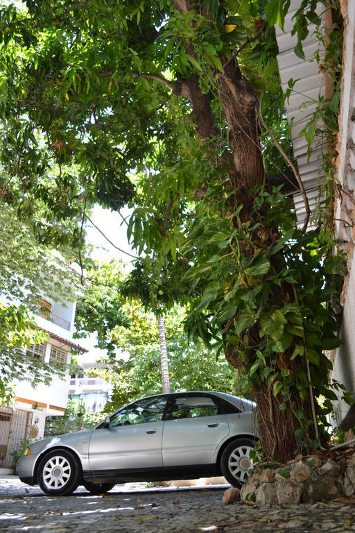 Pacot Breeze Hotel Musseau Bagian luar foto