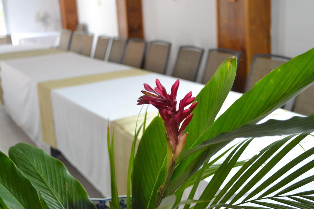 Pacot Breeze Hotel Musseau Bagian luar foto